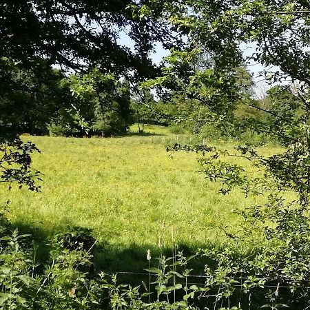Gite Le Moulin Saint-Vaast-sur-Seulles Εξωτερικό φωτογραφία