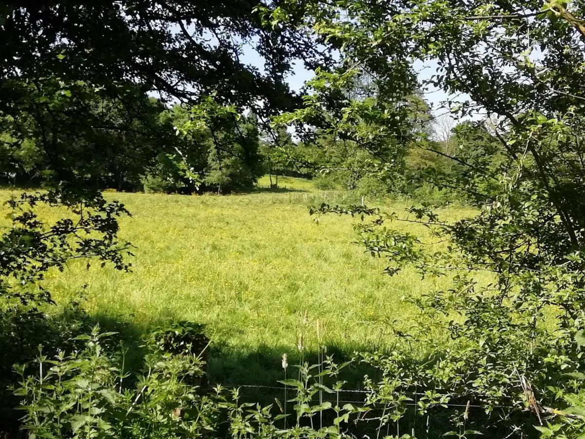 Gite Le Moulin Saint-Vaast-sur-Seulles Εξωτερικό φωτογραφία